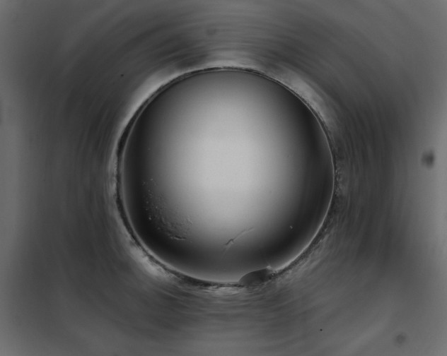 X0000102491140200808081322