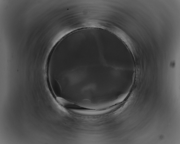 X0000102491141200808081322