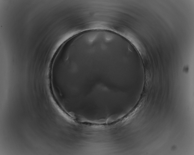 X0000102491142200808081322