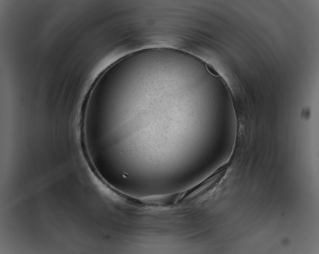 X0000102491143200808081322