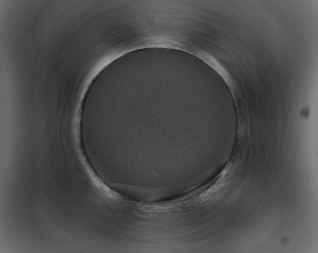 X0000102491144200808081322