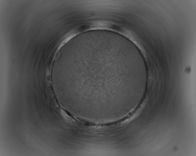 X0000102491145200808081322