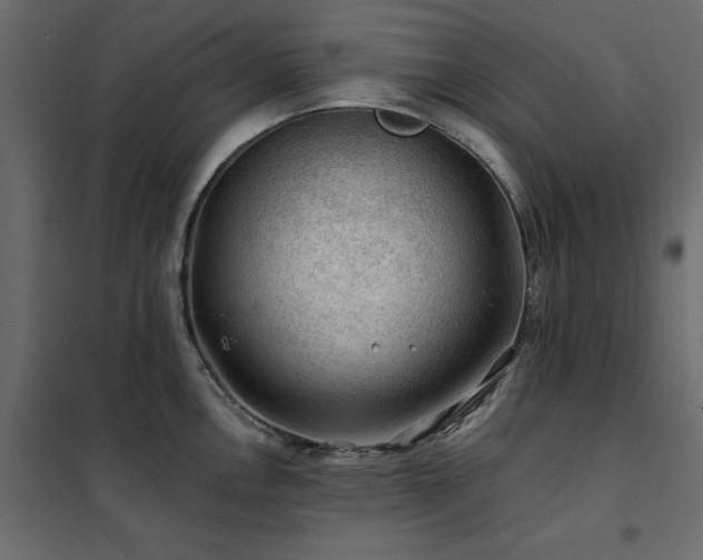 X0000102491146200808081323