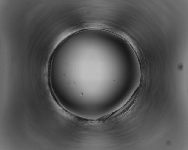X0000102491147200808081323