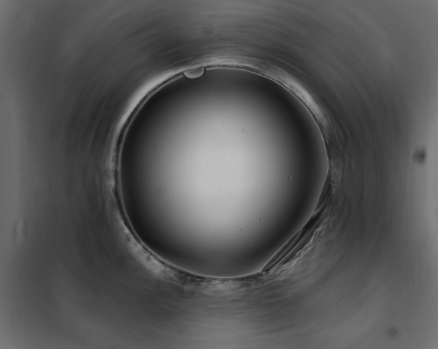 X0000102491148200808081323