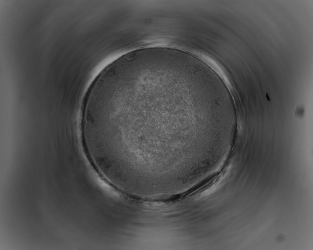X0000102491149200808081323