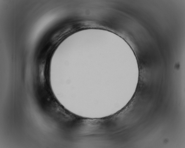 X0000102491150200808081323