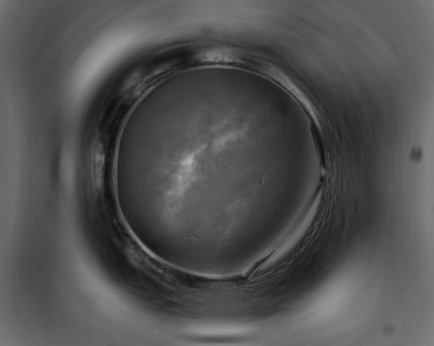 X0000102491151200808081323