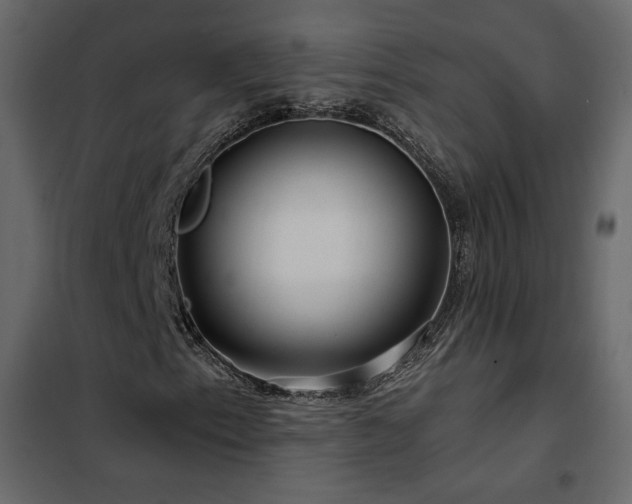 X0000102491153200808081322