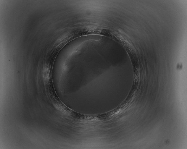 X0000102491154200808081322