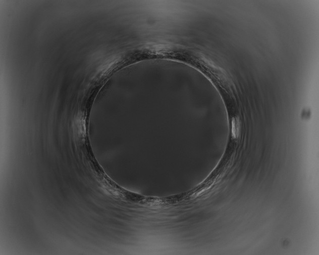 X0000102491155200808081322