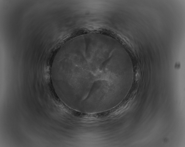 X0000102491156200808081322