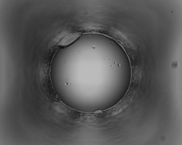 X0000102491157200808081322
