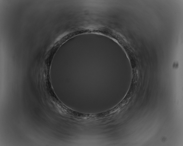 X0000102491158200808081322