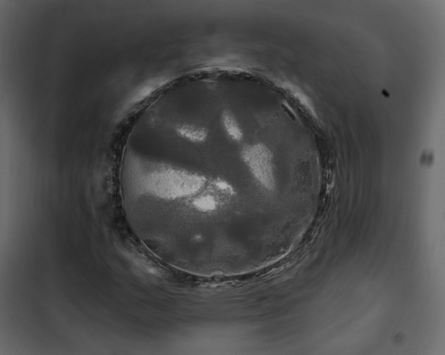 X0000102491159200808081322