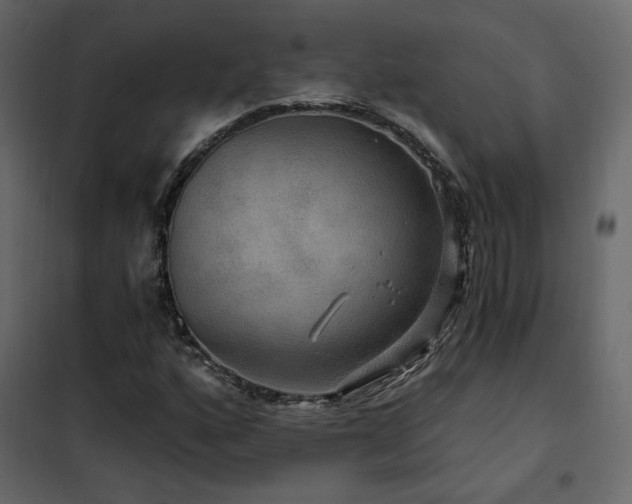 X0000102491160200808081322