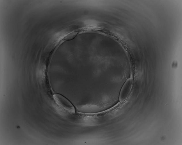 X0000102491161200808081322