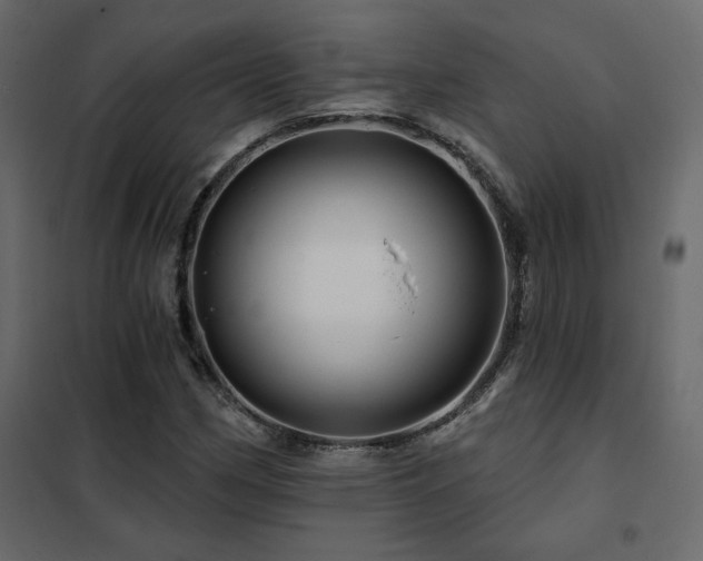 X0000102491162200808081322