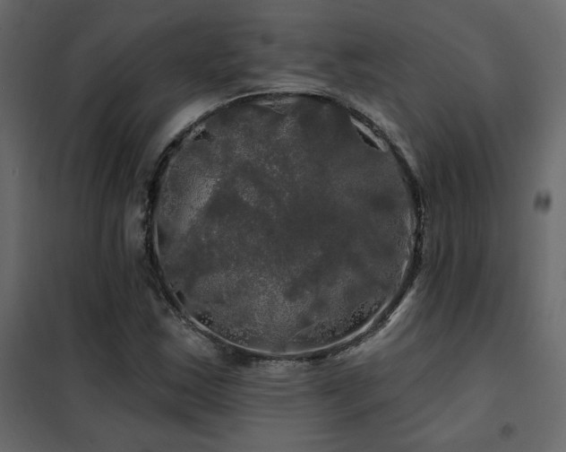 X0000102491163200808081322