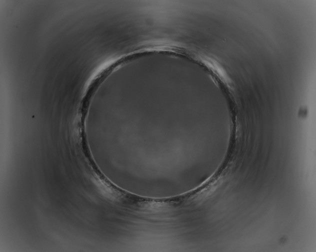 X0000102491164200808081322