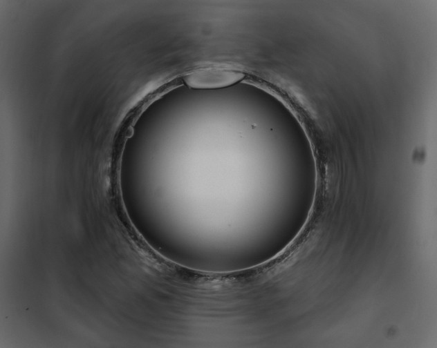 X0000102491165200808081322