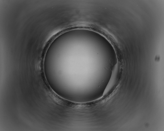 X0000102491166200808081322