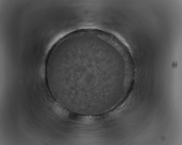 X0000102491167200808081322