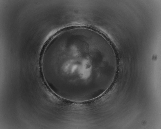 X0000102491168200808081322