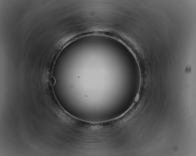 X0000102491169200808081322