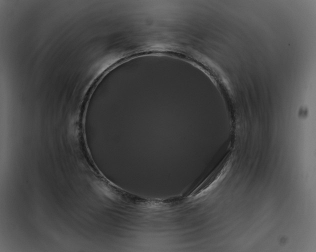 X0000102491170200808081322