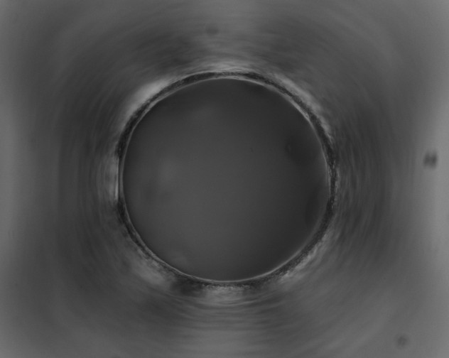 X0000102491171200808081322