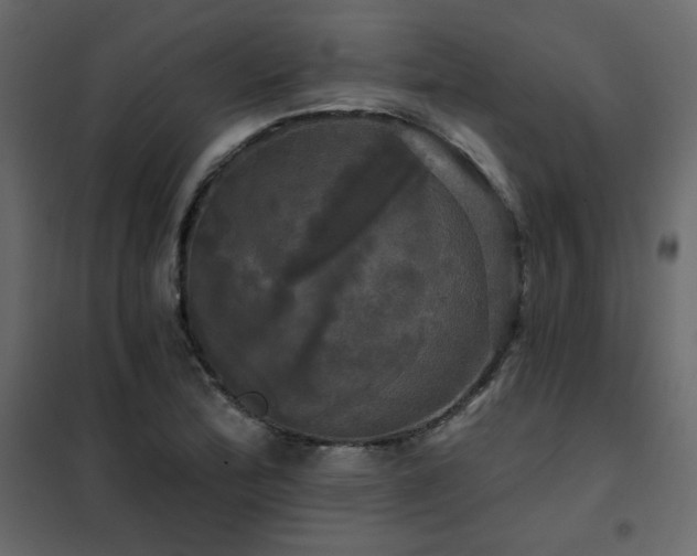 X0000102491172200808081322