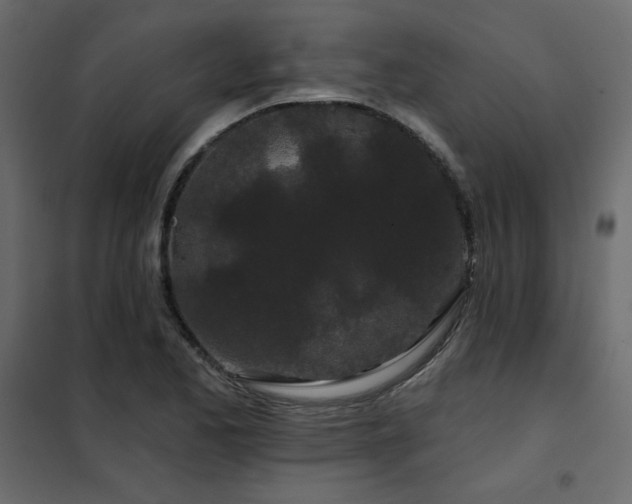 X0000102491173200808081321