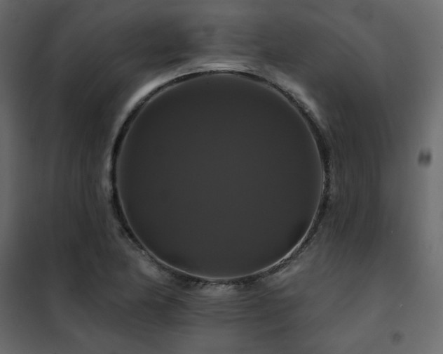 X0000102491174200808081321