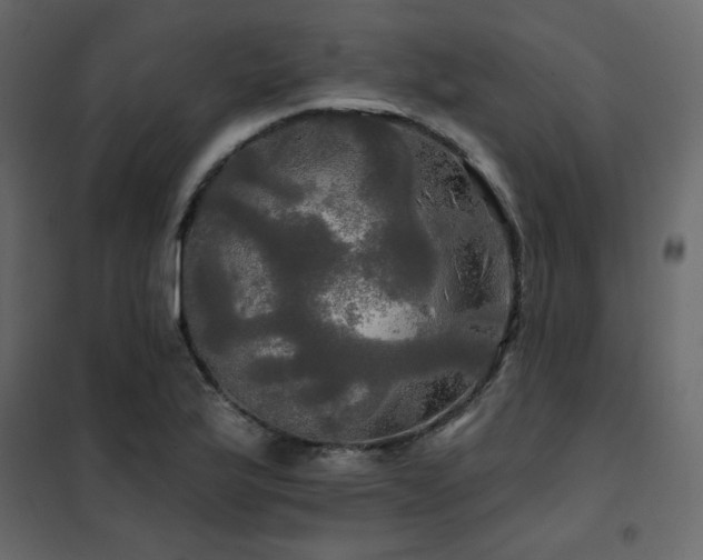 X0000102491175200808081321