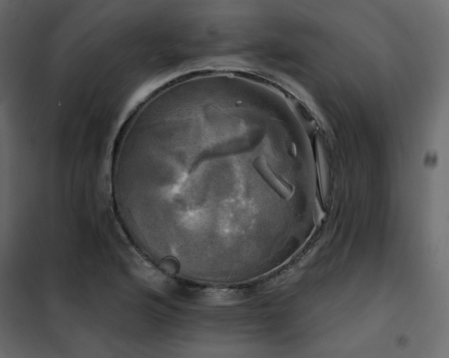 X0000102491176200808081321