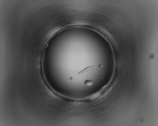 X0000102491177200808081321