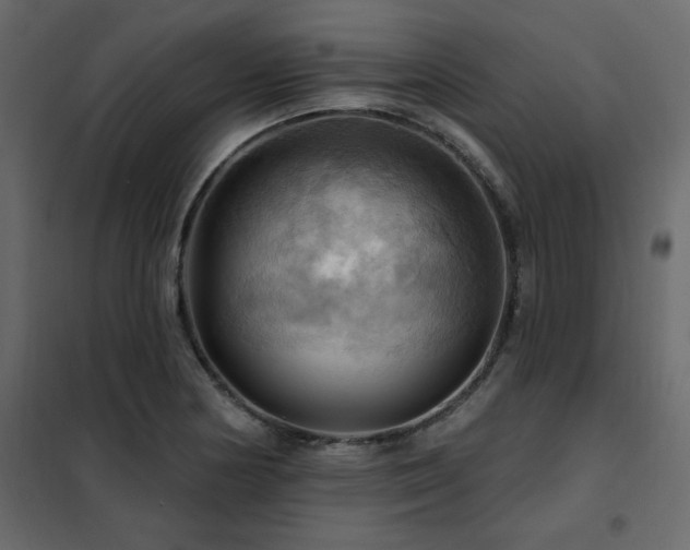 X0000102491178200808081321