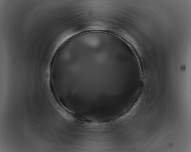 X0000102491179200808081321