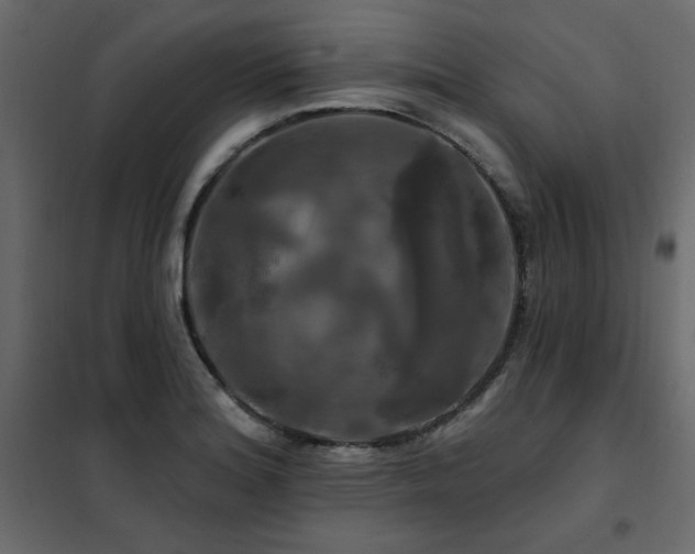 X0000102491180200808081321