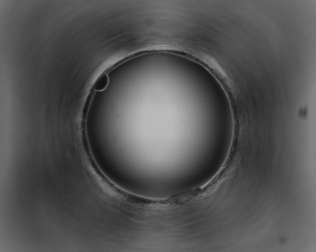 X0000102491181200808081321