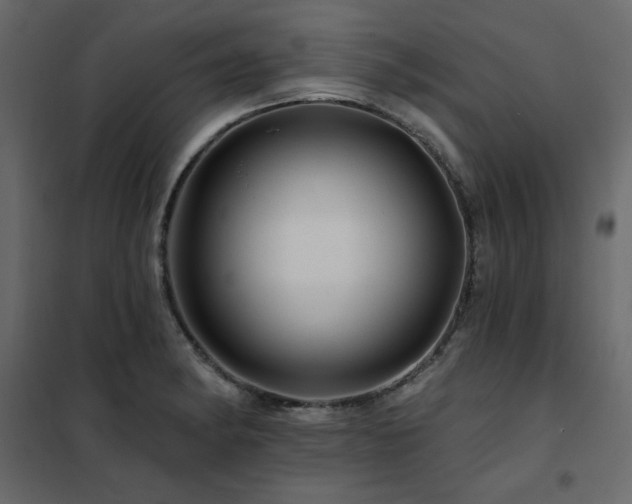 X0000102491182200808081321