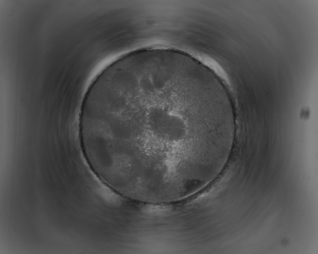 X0000102491183200808081321
