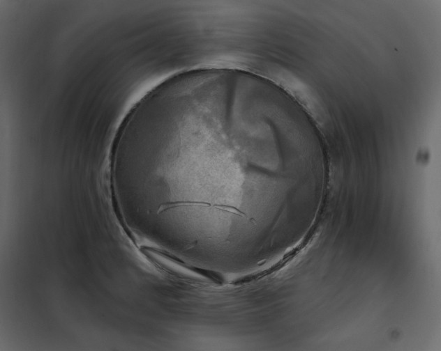 X0000102491184200808081321