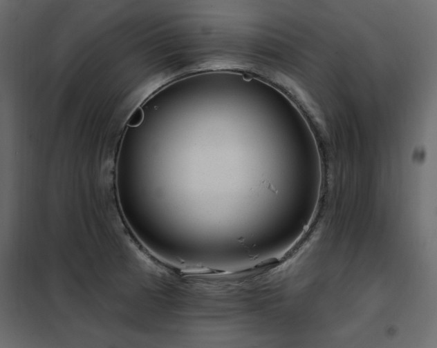 X0000102491185200808081321