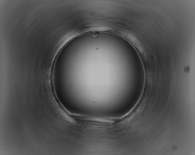 X0000102491186200808081321