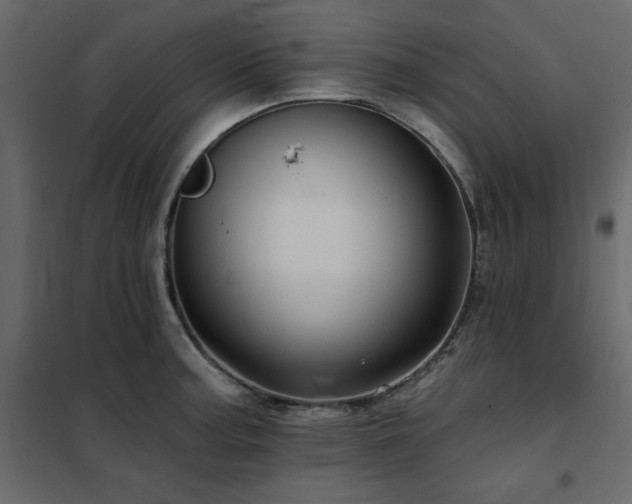 X0000102491187200808081321