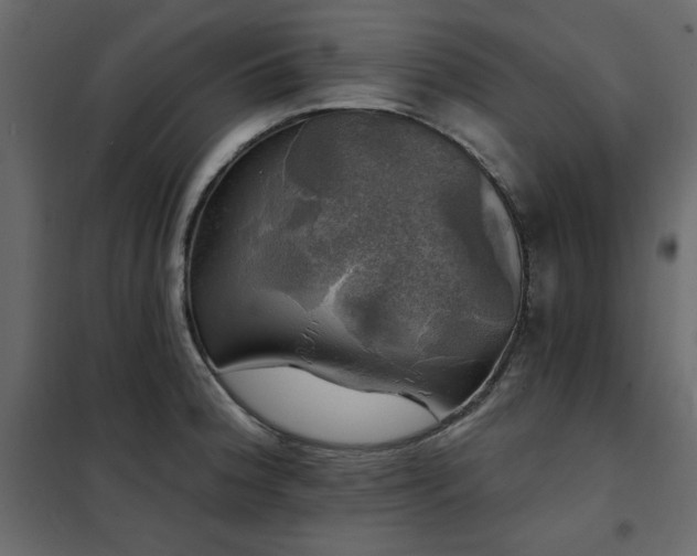 X0000102491188200808081321