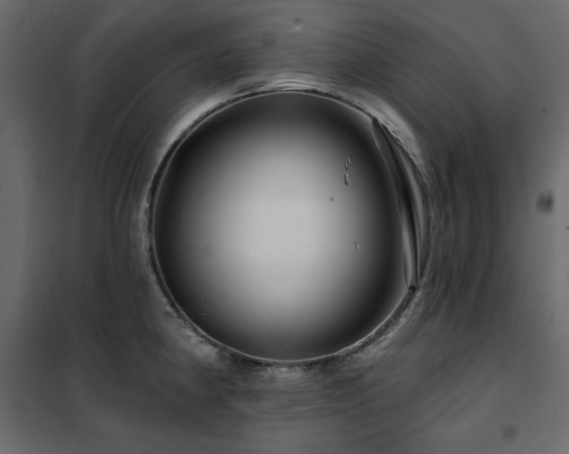 X0000102491190200808081321