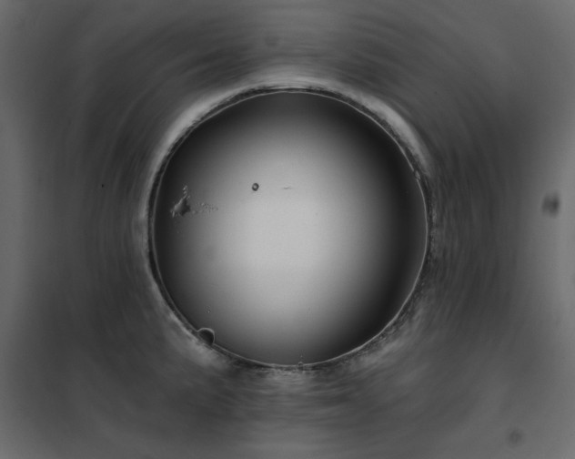X0000102491191200808081321